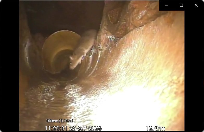 Rodent recorded inside a foul drain during a Cofton DJS CCTV survey, with the camera distance showing 12.47 metres